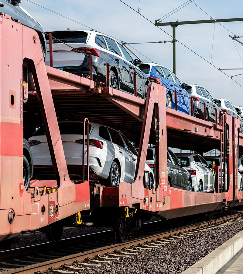 New Modern Electric and Fuel Cars Lined Up for Transportation